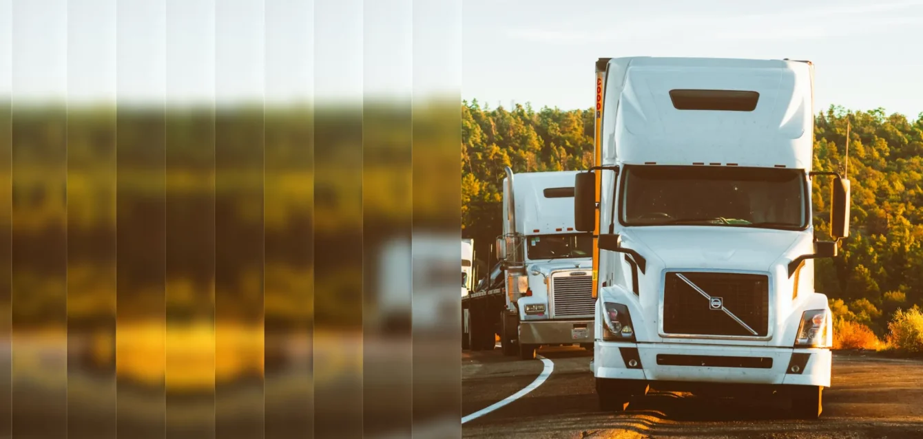 Frame 213-2 Frame 213-2